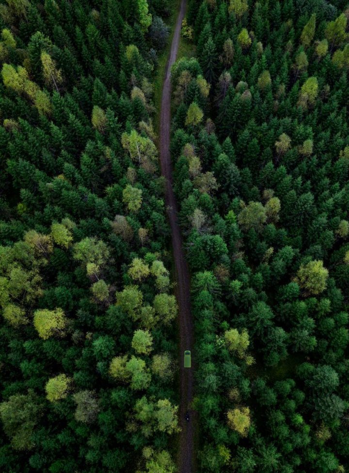 Bring truck on road in forest